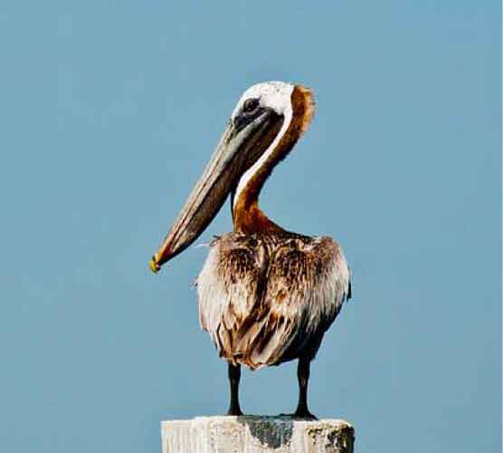 求个秒发货的ddos攻击ip软件下载